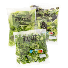 Kropslamelange, krulsla melange of jonge bladsla met rucola of veldsla